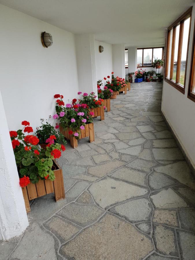 Apartamento Monolocale Milky Way - Colle Sestriere Exterior foto
